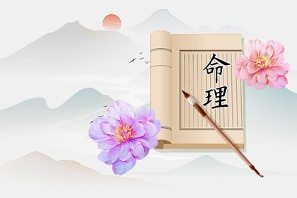 双人合盘详解紫微,紫微元贞排盘,紫薇斗术排盘,紫薇八字免费排盘